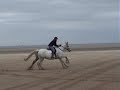 Fleck on Cleethorpes Beach