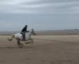Fleck on Cleethorpes Beach