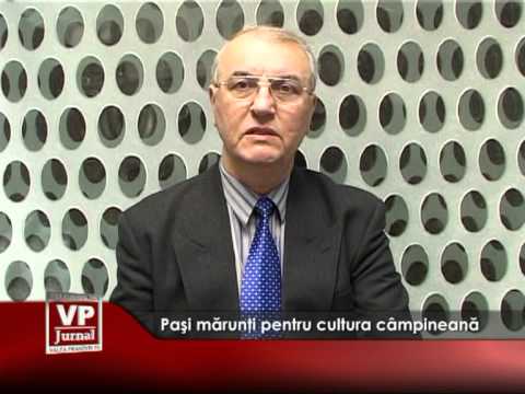 Paşi mărunţi pentru cultura câmpineană