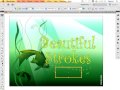 Illustrator CS5 beautiful strokes