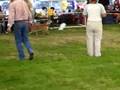 Interdog Bohemia 30.08.2008 ACD best male comparison