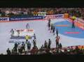 Finaleinzug Handball Deutschland - Frankreich