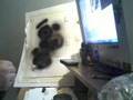 Molotow Covers All cap test