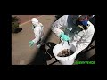 Video acerca de la contaminacion que es causada por las pilas y baterias. Y lo que podemos hacer para que estos productos no afecten el medio ambiente.
