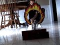 Evel Knievel Flaming Death Jump II