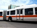 Mississauga, Brampton, & York Region Transit Bus Systems
