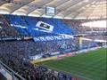 HSV Fans (5)