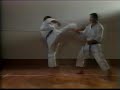 Shotokan Karate - how to throw a roundhouse kick Shotokan Karate - how to throw a roundhouse kick