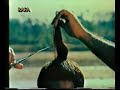 AA pennu shariyalla from dheem tharikida thom