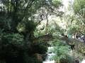 videos de clavado