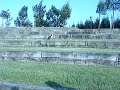 Practicando el salto olímpico