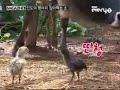 aneh tapi nyata aneh tapi nyata