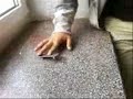 SharkYRazor512