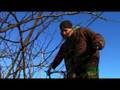 Catnip Catnap 30min Short - Nicholaus Patnaude