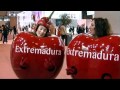 PICOTAS Y CEREZAS EN FITUR 2012