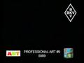 Professional Art 09 - 5009