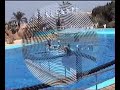 ?pan?lsko Marineland 2006 ?pan?lsko Marineland 2006