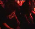 Pollux - Salome LIVE
