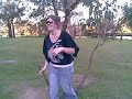 A walk in the park