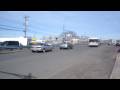 Bee Line : Neoplan AN-460 Transliner Articulated 567 On Route 60
