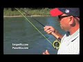 Sacramento River Striper on a Fly Rod Sacramento River Striper on a Fly Rod