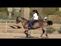 Me Riding Saddle Seat Me Riding Saddle Seat