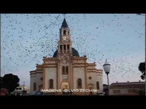 URAÍ-PR ANDORINHAS PRAÇA DA MATRIZ