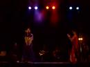 flamenco