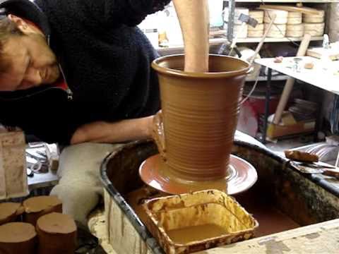 how to plant throw n grow