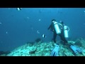 Sharkspotting Maldives
