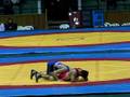 Adam Saitiev v. Shirvani Muradov