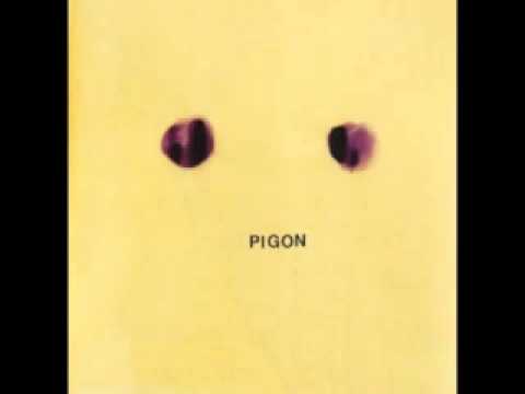 pigon