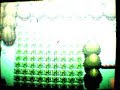 Shiny Bidoof With Poke Radar Shiny Bidoof With Poke Radar