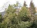 WWW.GUINNARD.COM - VERBIER - MARCHAND - vue