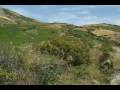 videos de tchahchah m'hammed rif alhoceima amazigh imzouren nador