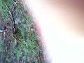 lokoo trilha lokoo trilha