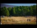 videos de Balnafettach Farm on Marco's Great British Feast