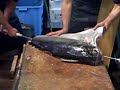 Filleting a Fresh Tuna at Tsukiji Market Filleting a Fresh Tuna at Tsukiji Market