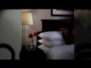The New Stoneleigh Hotel and Spa in Dallas, Texas