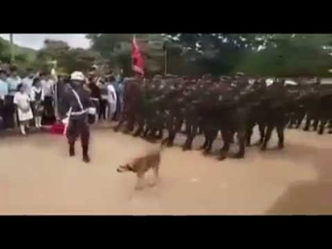 Bạn ai dắt về đi, vào phá đám không vậy :)))))