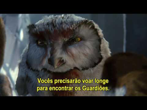 Imagem de Amostra do You Tube