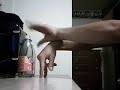 Crazy Ass Dinosaur