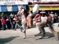 videos de caballo bailando - desfile 20 de noviembre san fernando tamaulipas