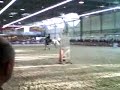 Equid Espace 2008 Equid Espace 2008