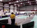 Fur n Brimstone -  JDD Flyball Team Clean Break Tournament