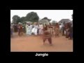 Rucka Rucka Ali In The Jungle Video and Lyrics