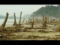 A Tribute to Aceh