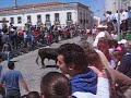 Bull chasing Beja, Portugal Bull chasing Beja, Portugal