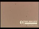 Schofields 1971 Ausable Chasm