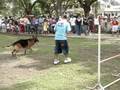 videos de MOV00699.MPG